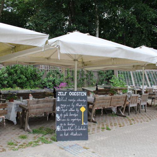Een prachtige theetuin vol met groenten, fruit, aardappelen, verse bloemen en kruiden!
