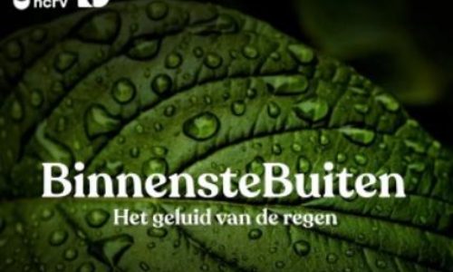 Regendruppels op een blad, met titel podcast