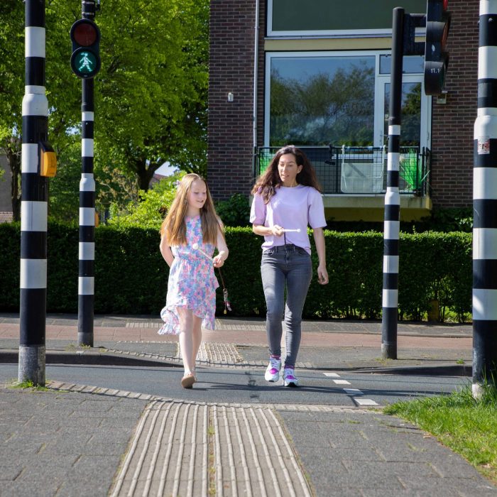 Lid Raad van Toezicht