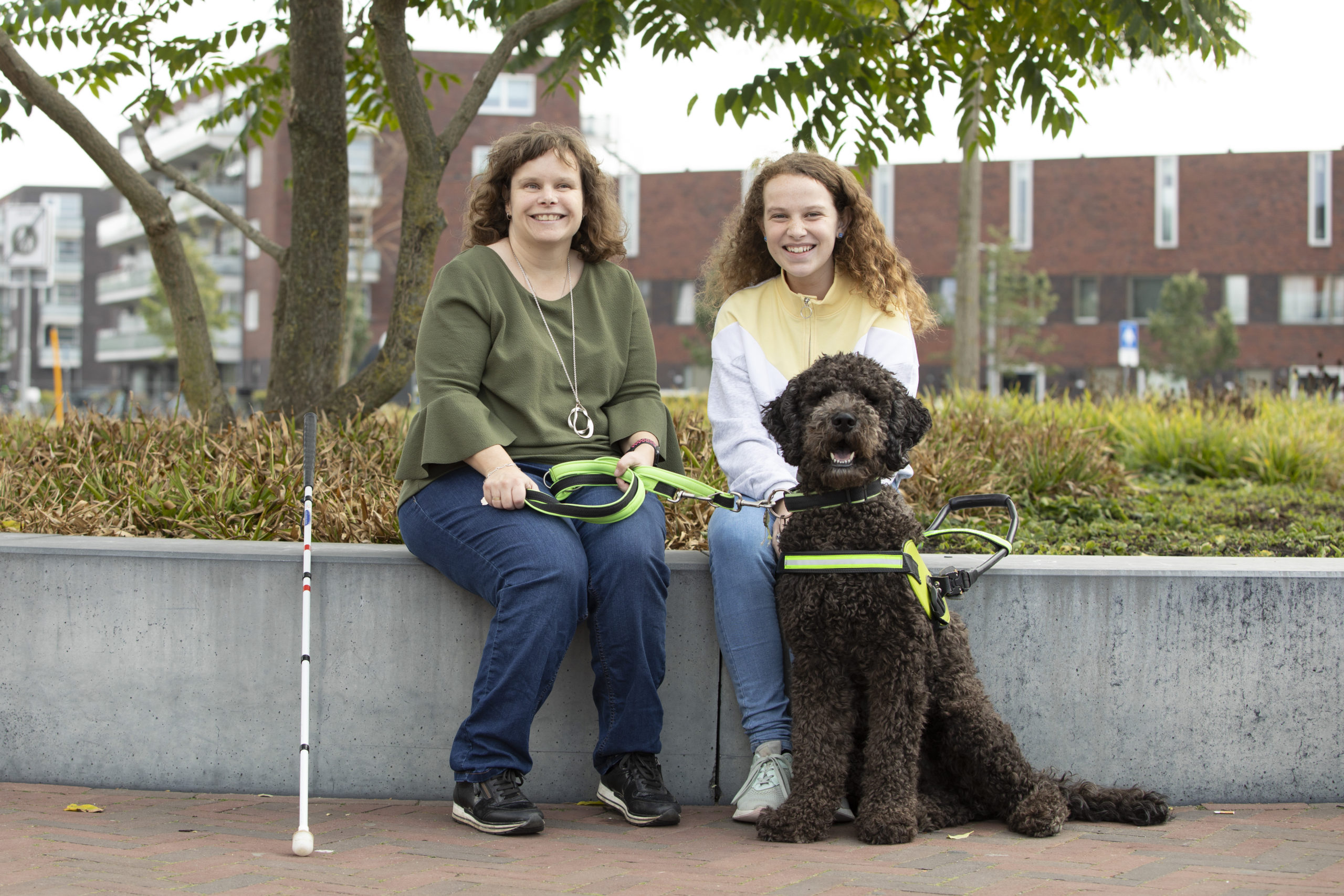 Een blindengeleidehond: belangrijke aandachtspunten om rekening mee te houden