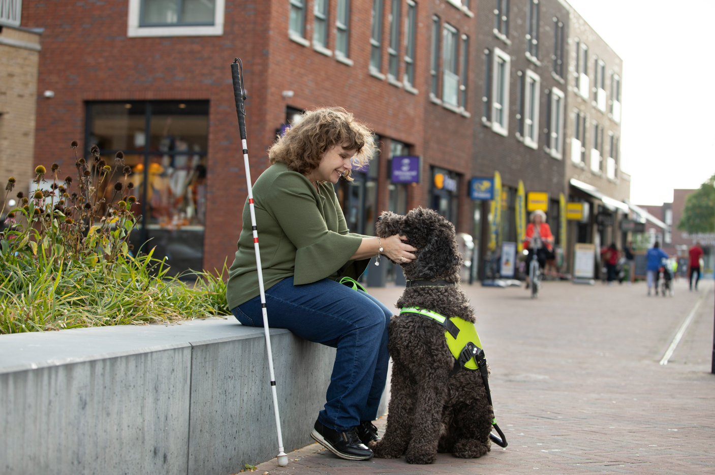 Wat doet een blindengeleidehond