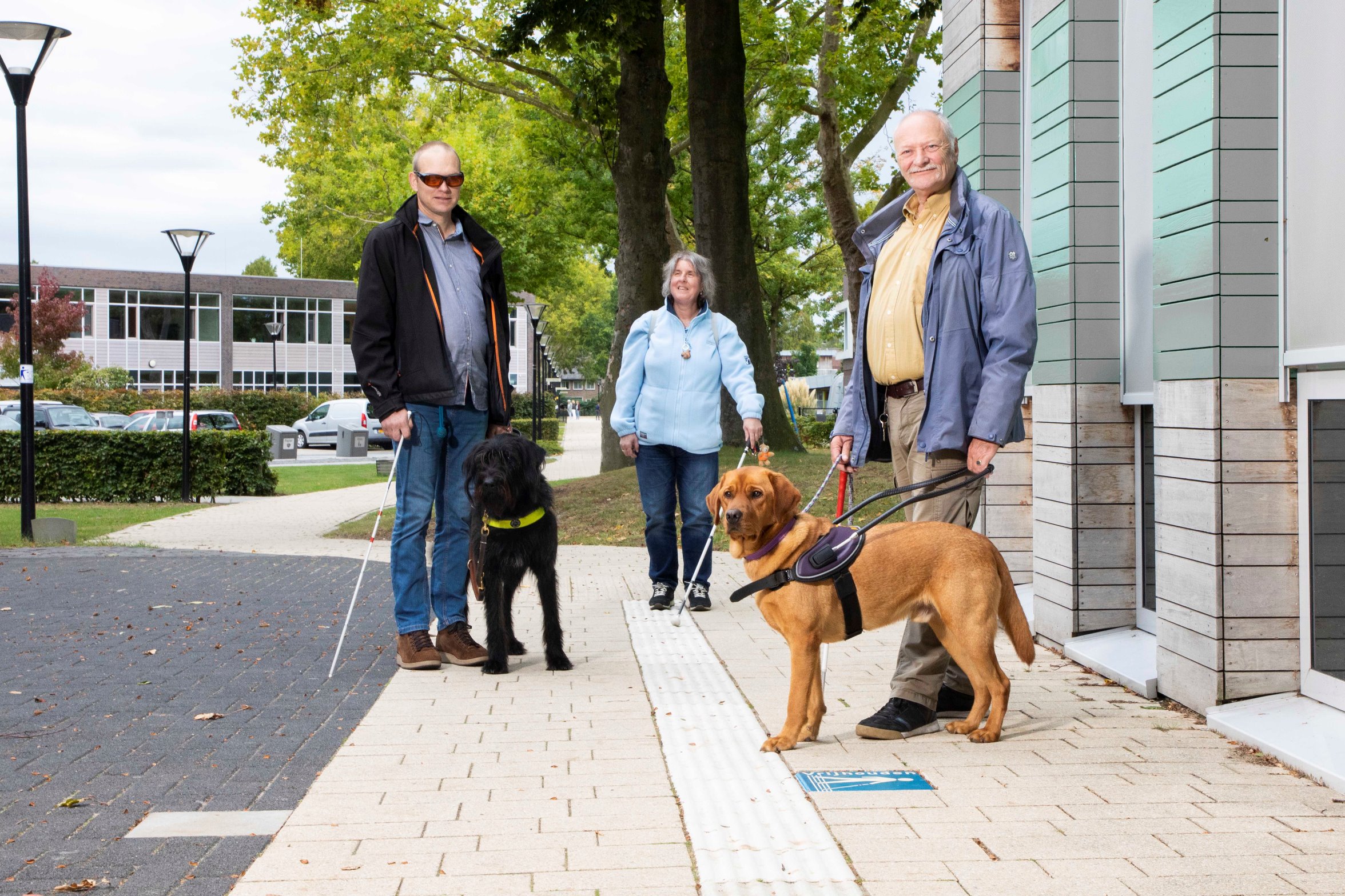 Wat is een blindengeleidehond